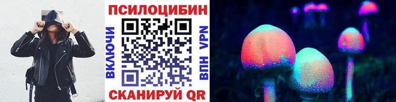 Галлюциногенные грибы Psilocybe Исилькуль